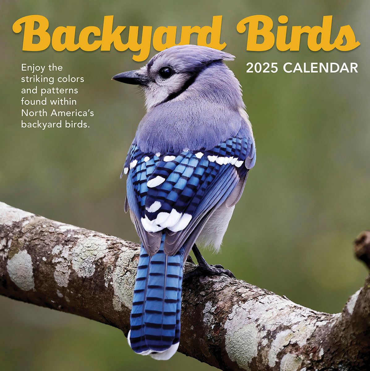 Backyard Birds 2025 Wall Calendar