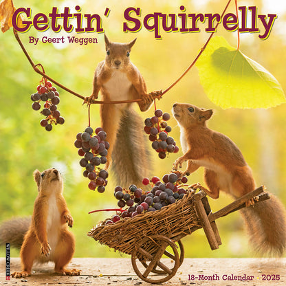 Gettin' Squirrelly 2025 Wall Calendar