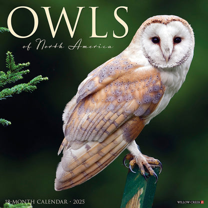 Owls of North America 2025 Wall Calendar