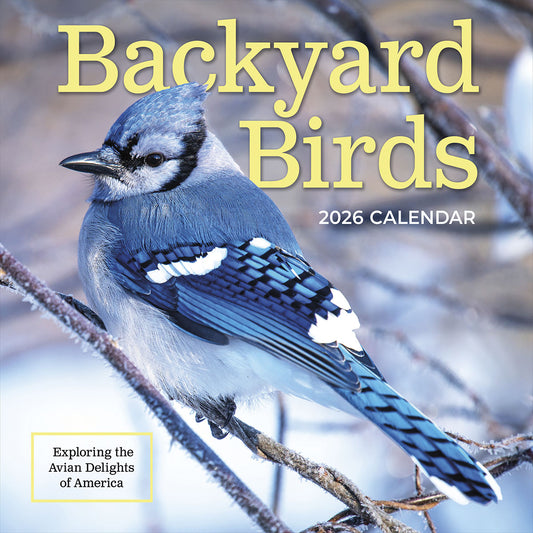 Backyard Birds 2026 Wall Calendar
