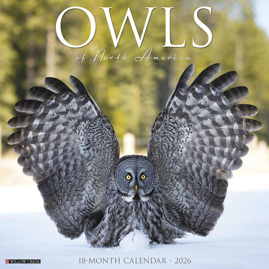 Owls Of North America 2026 Wall Calendar