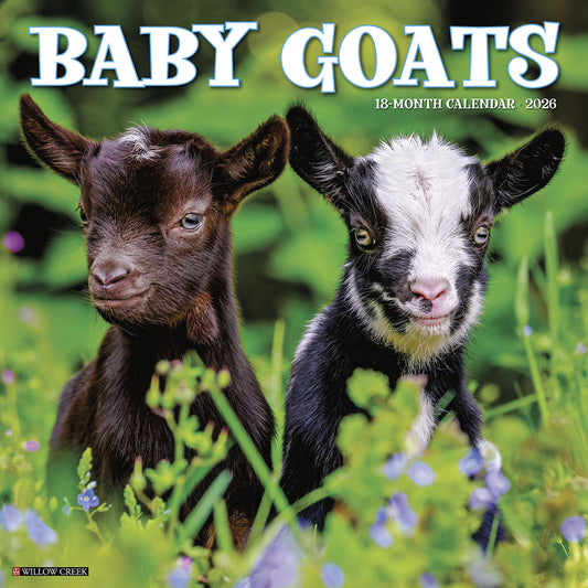 Baby Goats 2026 Wall Calendar