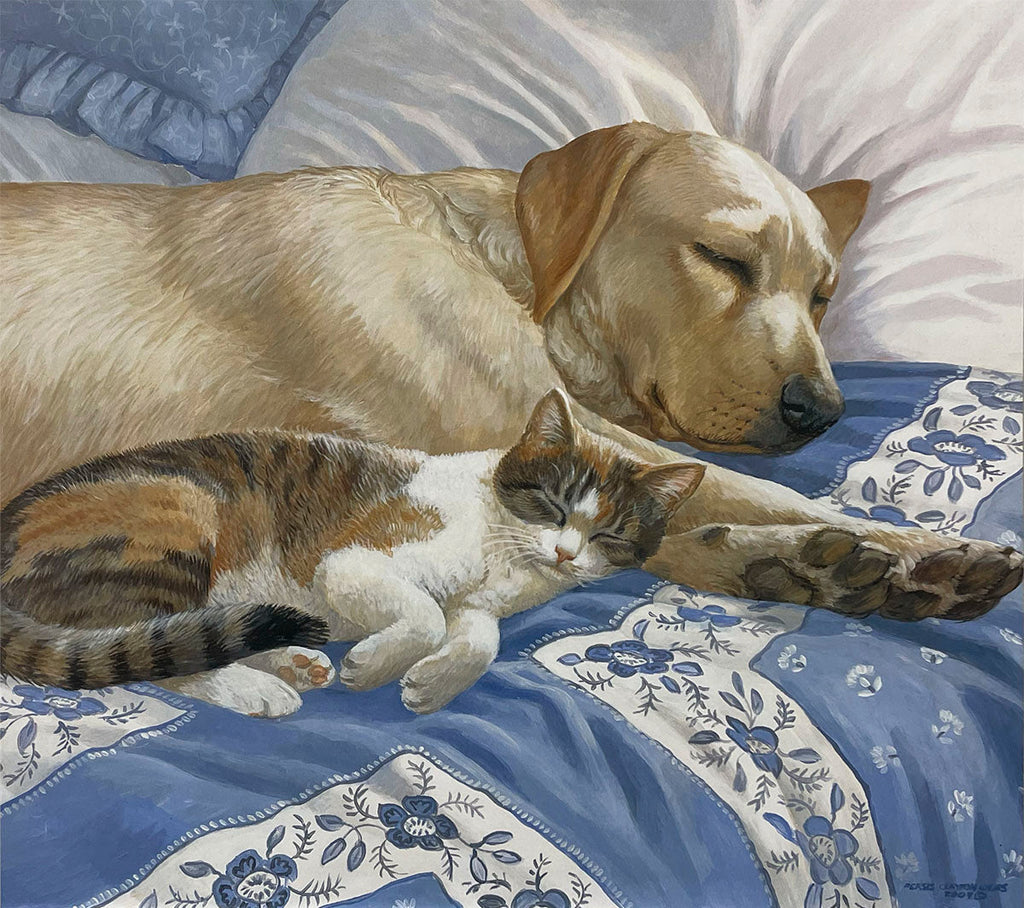 A peaceful scene of a light yellow labrador retriever dog and a calico cat sleeping curled up together on a blue and white floral patterned bedspread.