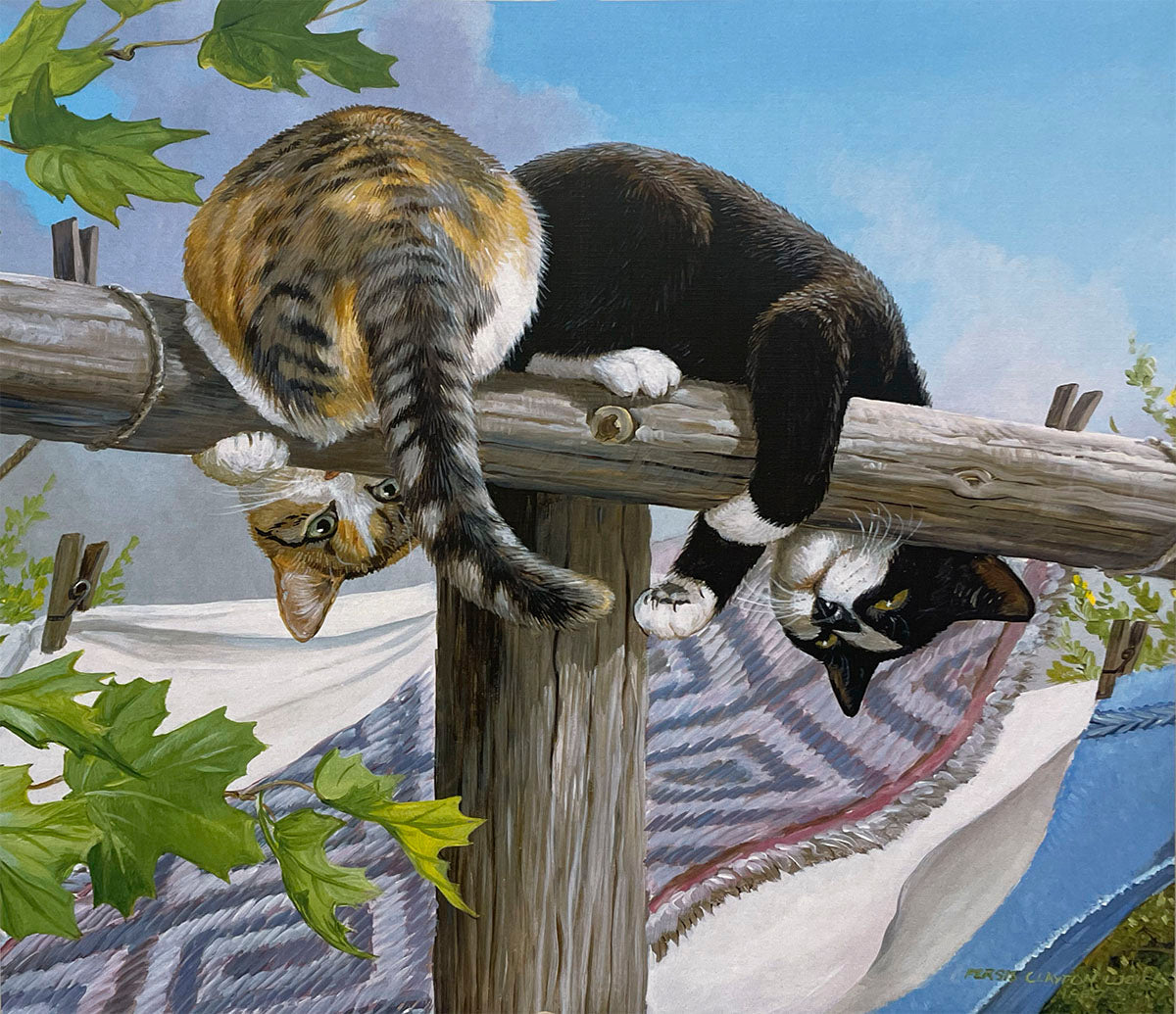 Two playful cats, one calico and one black and white tuxedo, hanging upside down from a wooden clothesline post with laundry drying in the background under a blue sky.