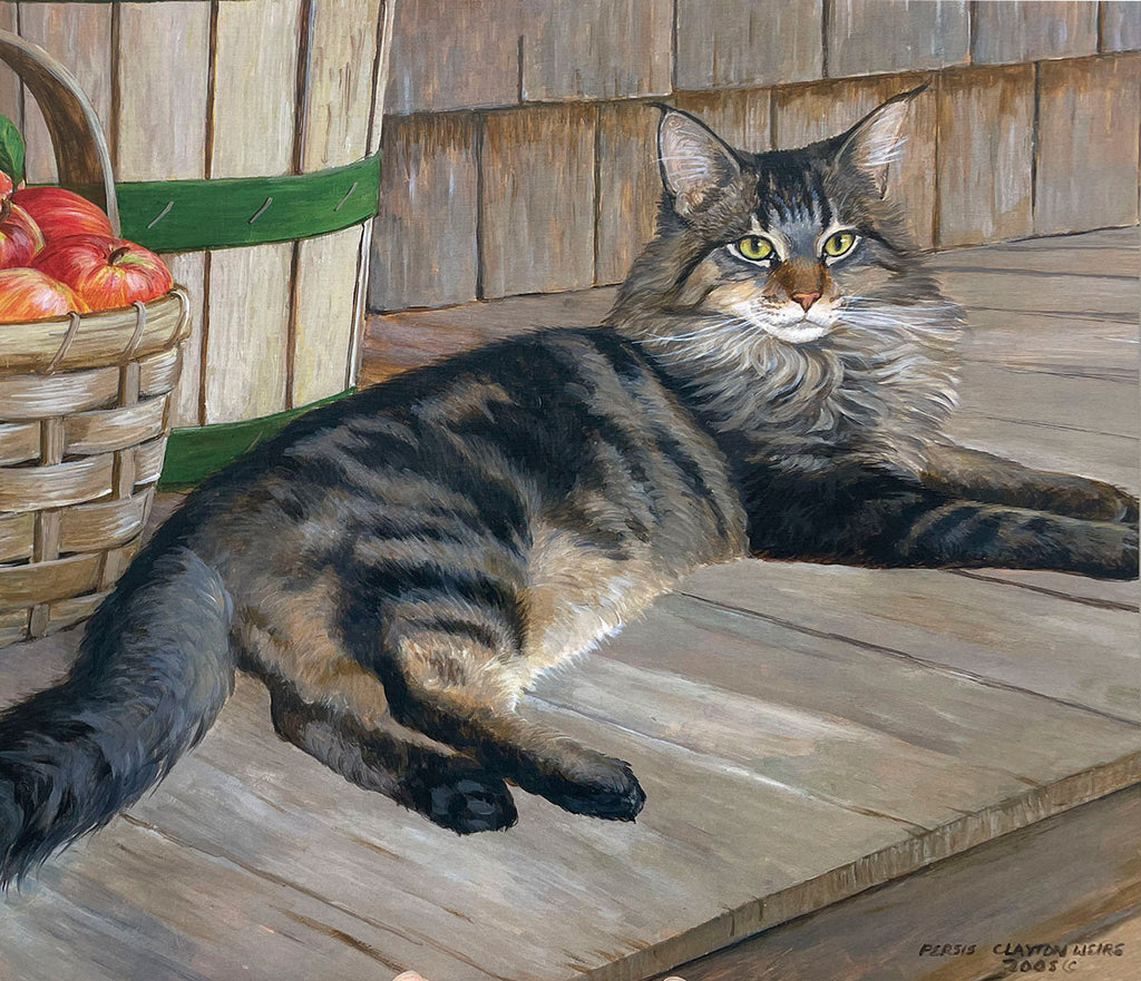 A majestic long-haired tabby cat, possibly a Maine Coon, with striking green eyes, lounging gracefully on a rustic wooden porch next to a basket of red apples.