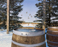Winter vineyard scene with a bird on a snow-dusted wine barrel, birds flying above, and evergreen trees.