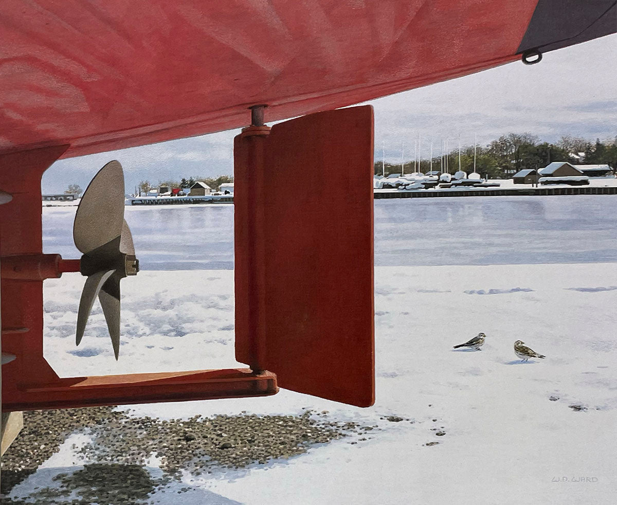 Frozen lake landscape featuring a red boat hull, propeller, rudder, two birds on snow, and distant moored vessels.