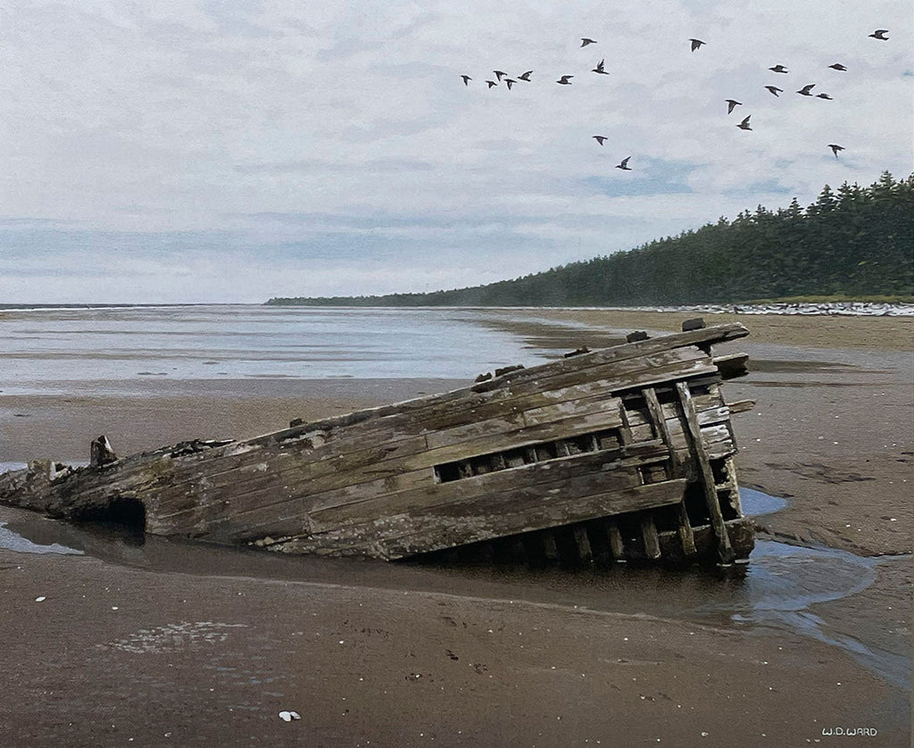 Dramatic coastal landscape featuring a historic wooden shipwreck partially buried on a wide sandy beach under a cloudy sky.