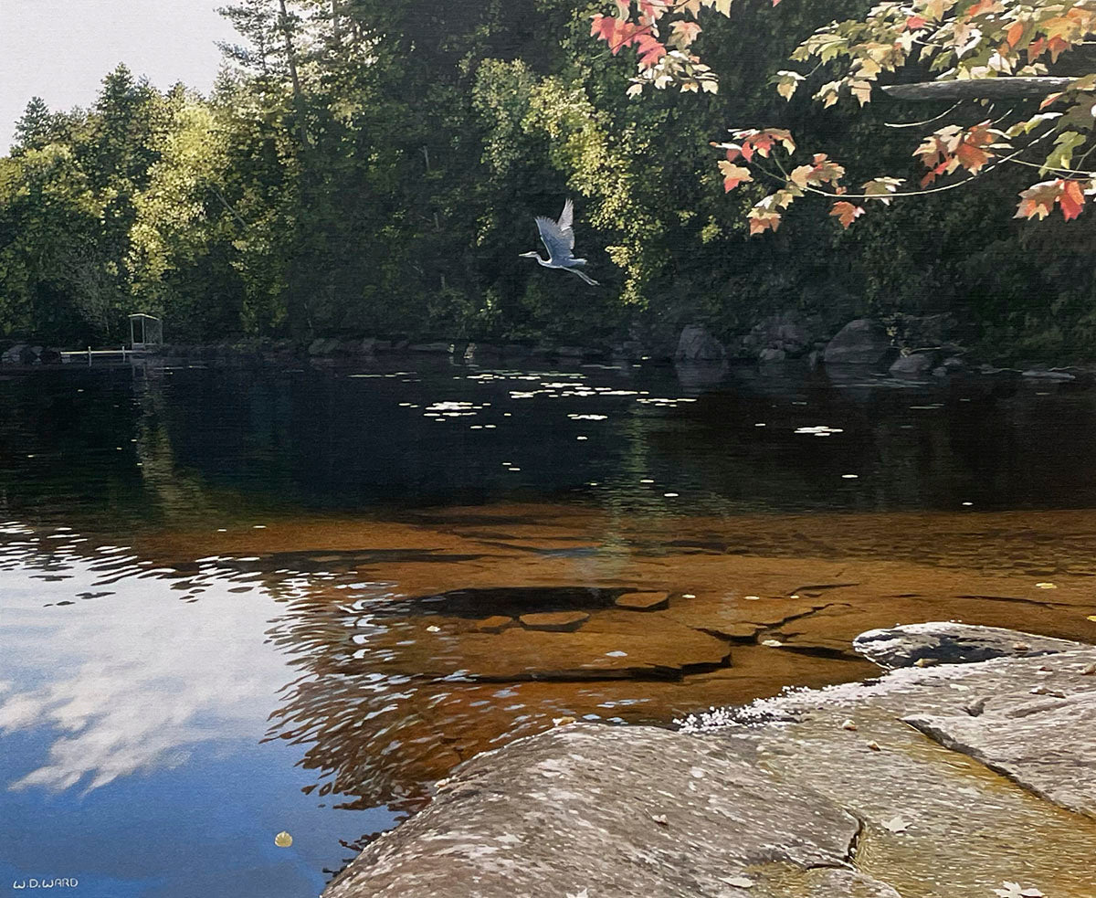 Graceful heron in flight over a clear lake with visible rock formations, framed by vibrant autumn foliage and green trees.