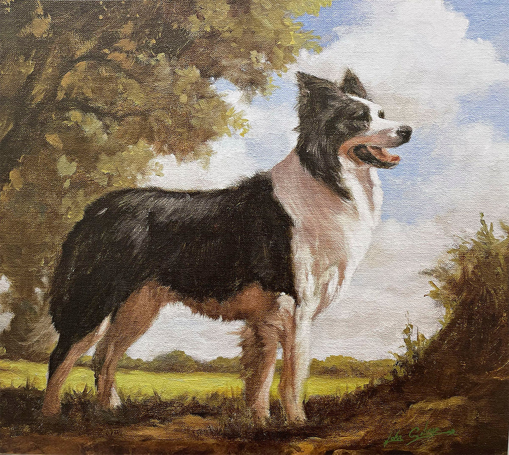 A majestic Border Collie stands proudly in a lush green field under a partly cloudy sky, with trees in the background, showcasing its striking black and white coat.