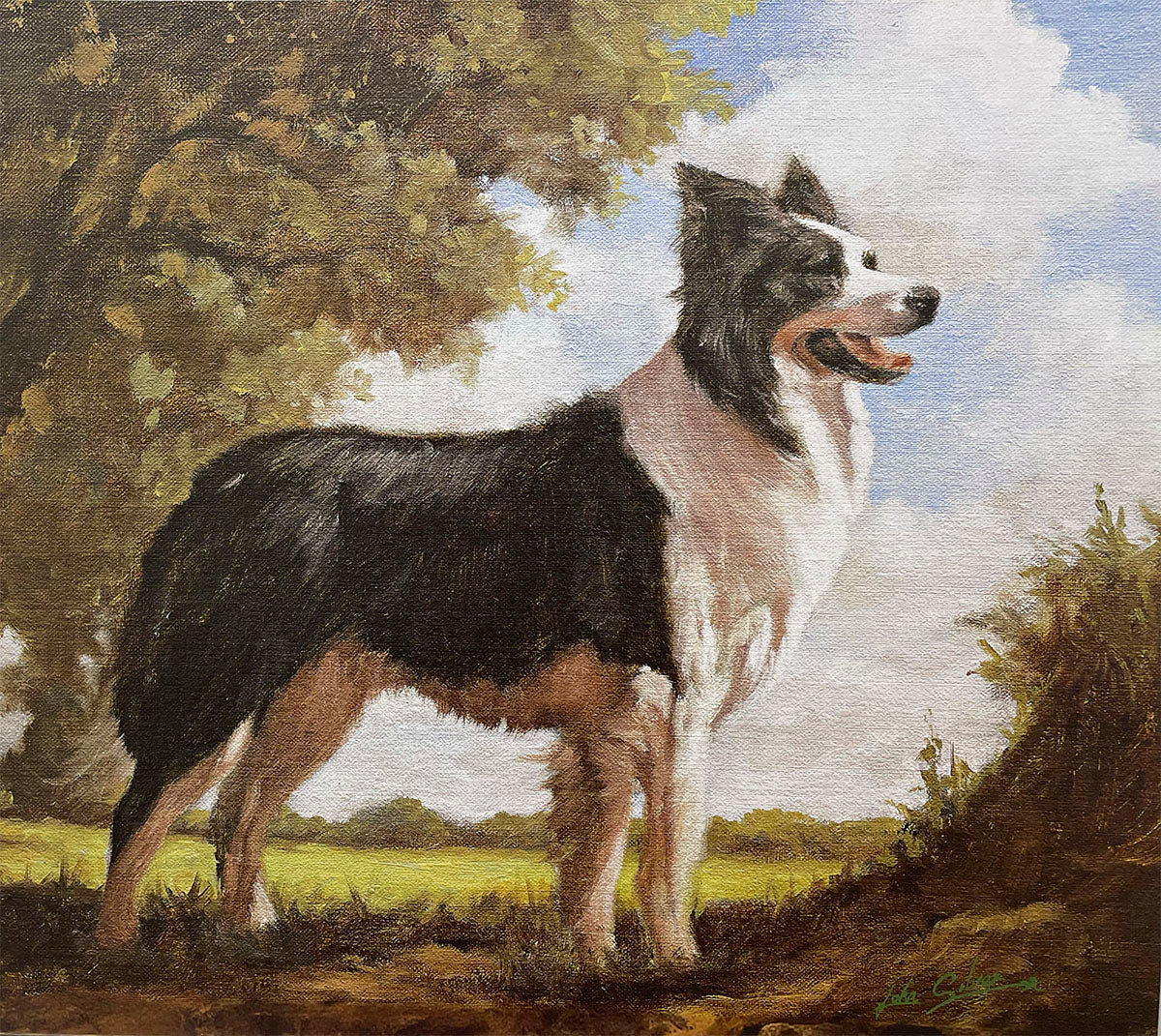 A majestic Border Collie stands proudly in a lush green field under a partly cloudy sky, with trees in the background, showcasing its striking black and white coat.