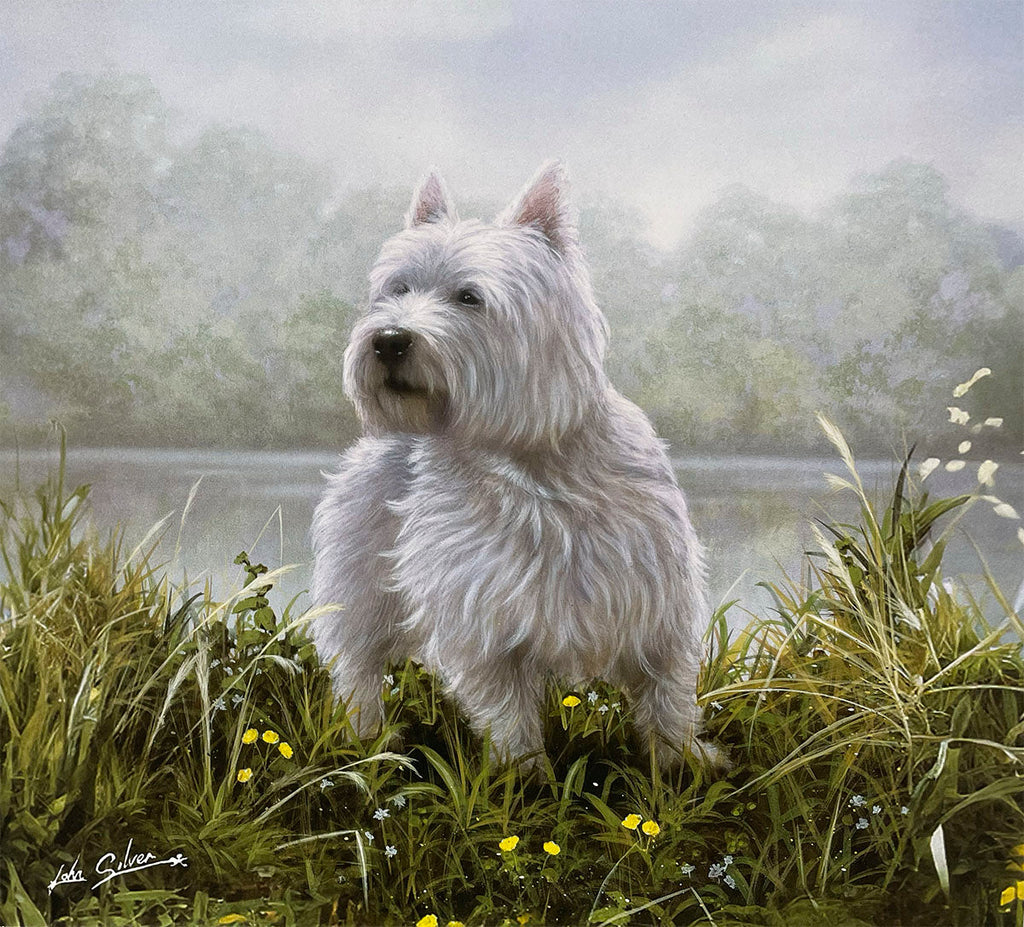 A charming West Highland White Terrier (Westie) stands attentively in tall grass and wildflowers by the edge of a serene lake or river, surrounded by misty trees.