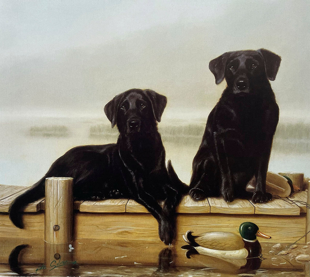 Two striking black Labrador Retrievers sit and lie on a weathered wooden dock, attentively looking forward, with two duck decoys floating in the water nearby on a misty day.
