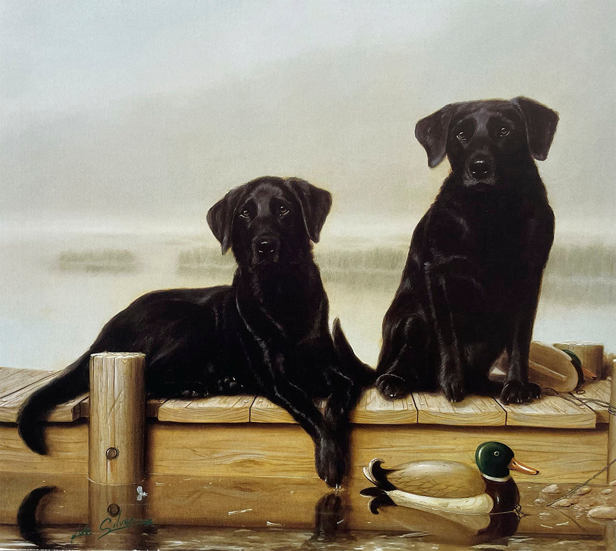 Two striking black Labrador Retrievers sit and lie on a weathered wooden dock, attentively looking forward, with two duck decoys floating in the water nearby on a misty day.