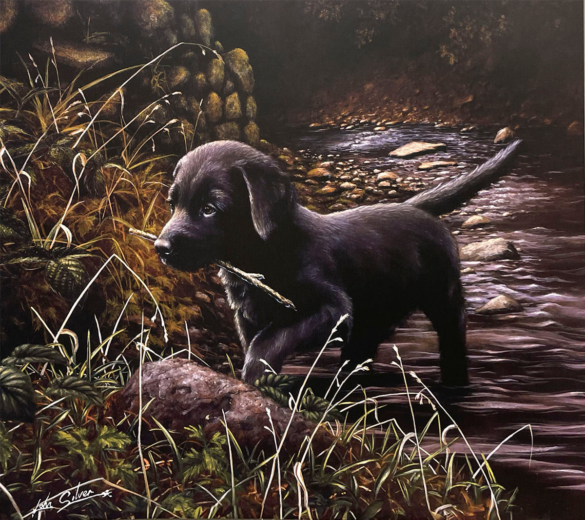 A playful black Labrador puppy wading through a shallow stream, carrying a stick in its mouth, surrounded by natural foliage and rocks in a dimly lit, serene setting.