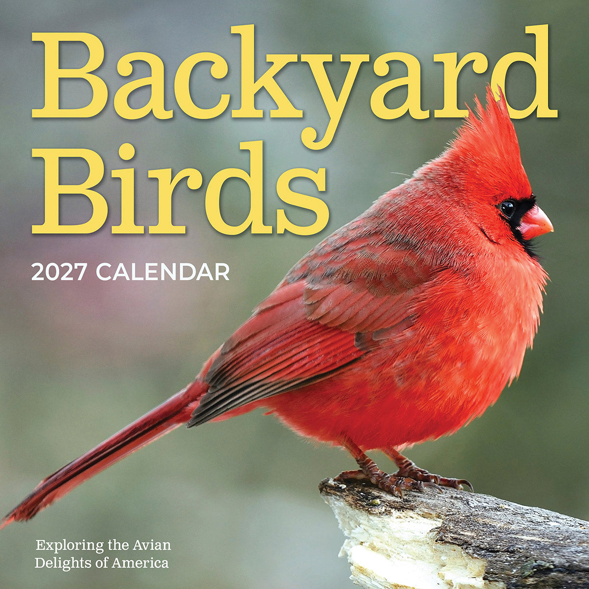 2027 Backyard Birds wall calendar cover featuring a vibrant male Northern Cardinal perched on a tree branch, text 'Backyard Birds 2027 CALENDAR'.