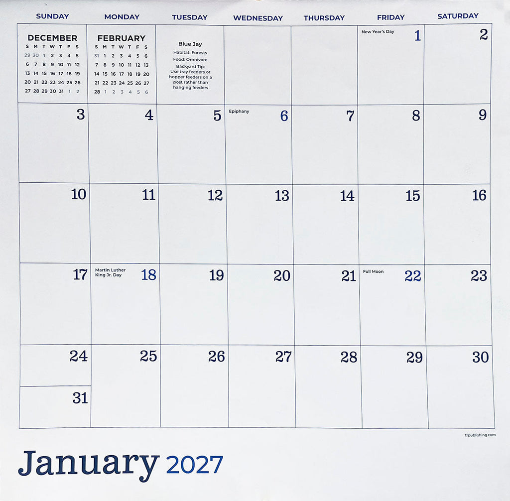 A clear view of the January 2027 calendar grid, showing dates, holidays like New Year's Day and Martin Luther King Jr. Day, and ample space for notes.