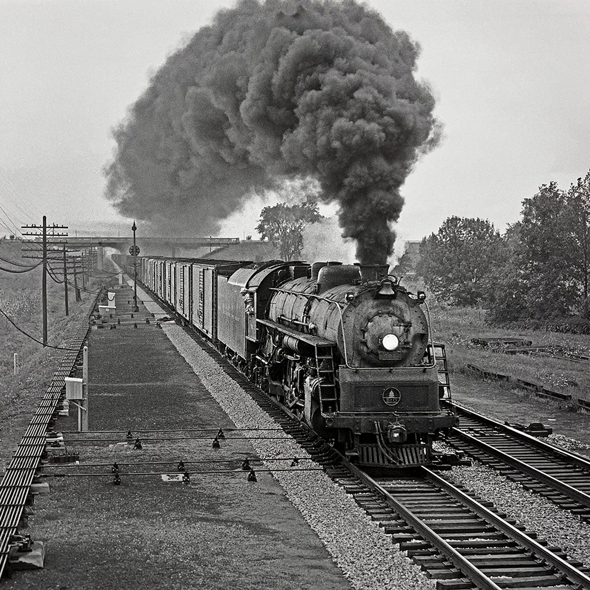 Front view of a powerful steam locomotive pulling a long line of freight cars along straight railway tracks, dense smoke rising against a rural backdrop, rail transport history.