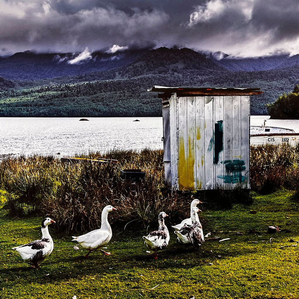 November 2026 calendar image: A rustic, weathered metal outhouse by a tranquil lake with geese in the foreground and dramatic mountains under a stormy sky in the background.