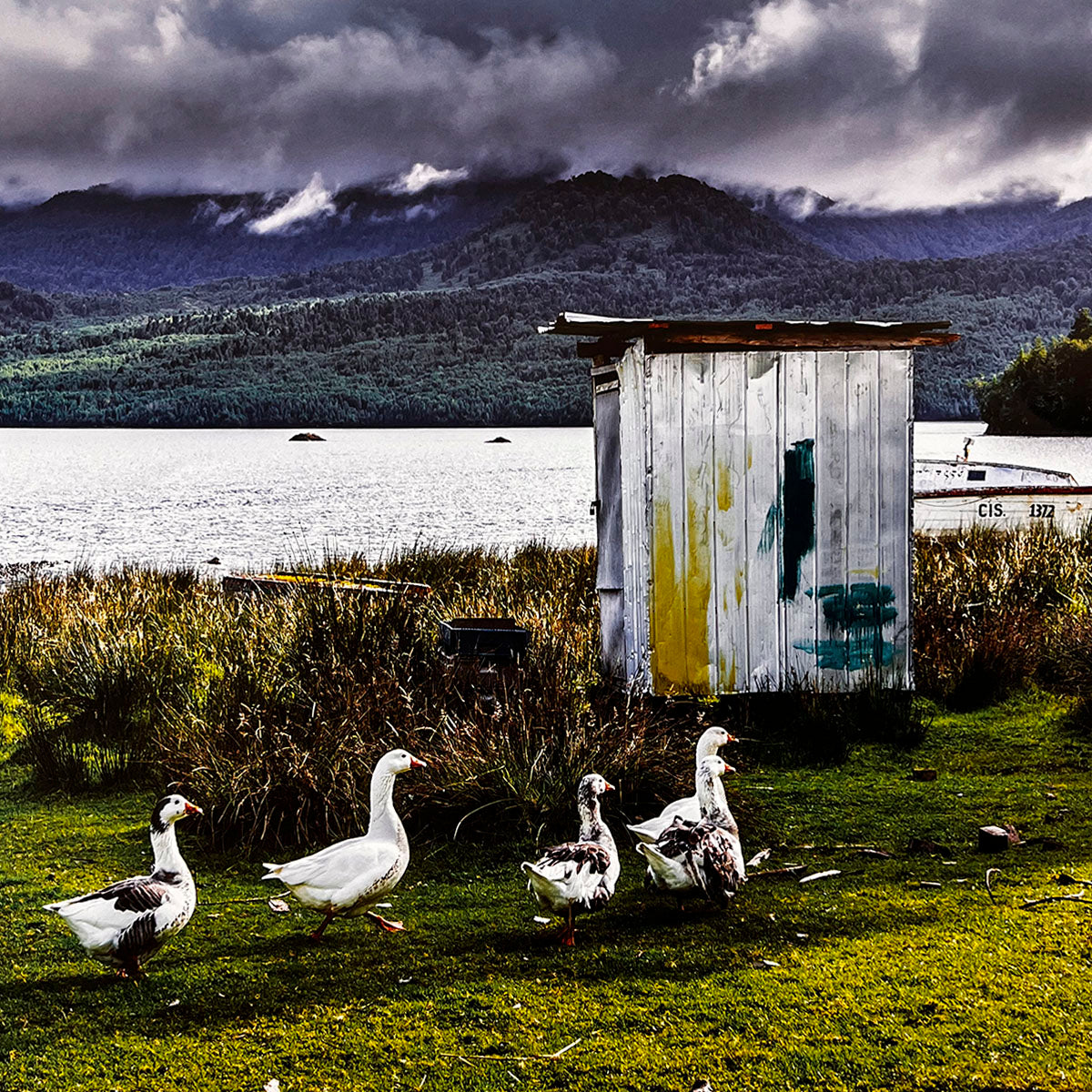 November 2026 calendar image: A rustic, weathered metal outhouse by a tranquil lake with geese in the foreground and dramatic mountains under a stormy sky in the background.