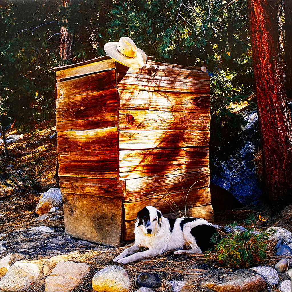 June 2027 calendar image: A simple wooden outhouse in a forest clearing, with a straw cowboy hat perched on top and a black and white dog resting calmly at its base.