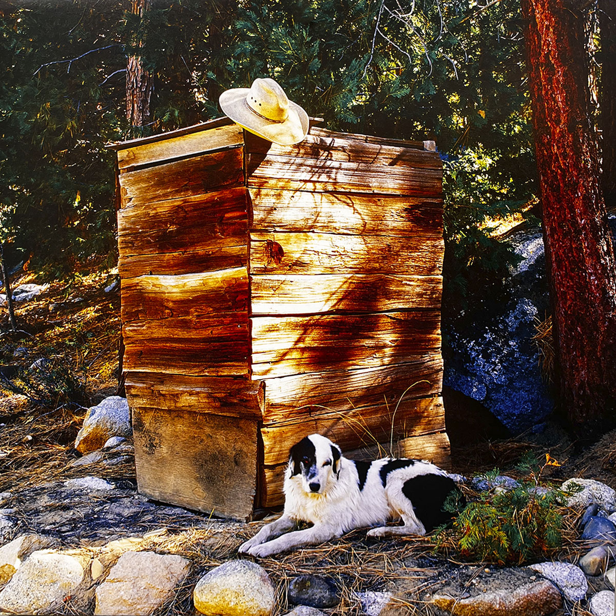 June 2027 calendar image: A simple wooden outhouse in a forest clearing, with a straw cowboy hat perched on top and a black and white dog resting calmly at its base.