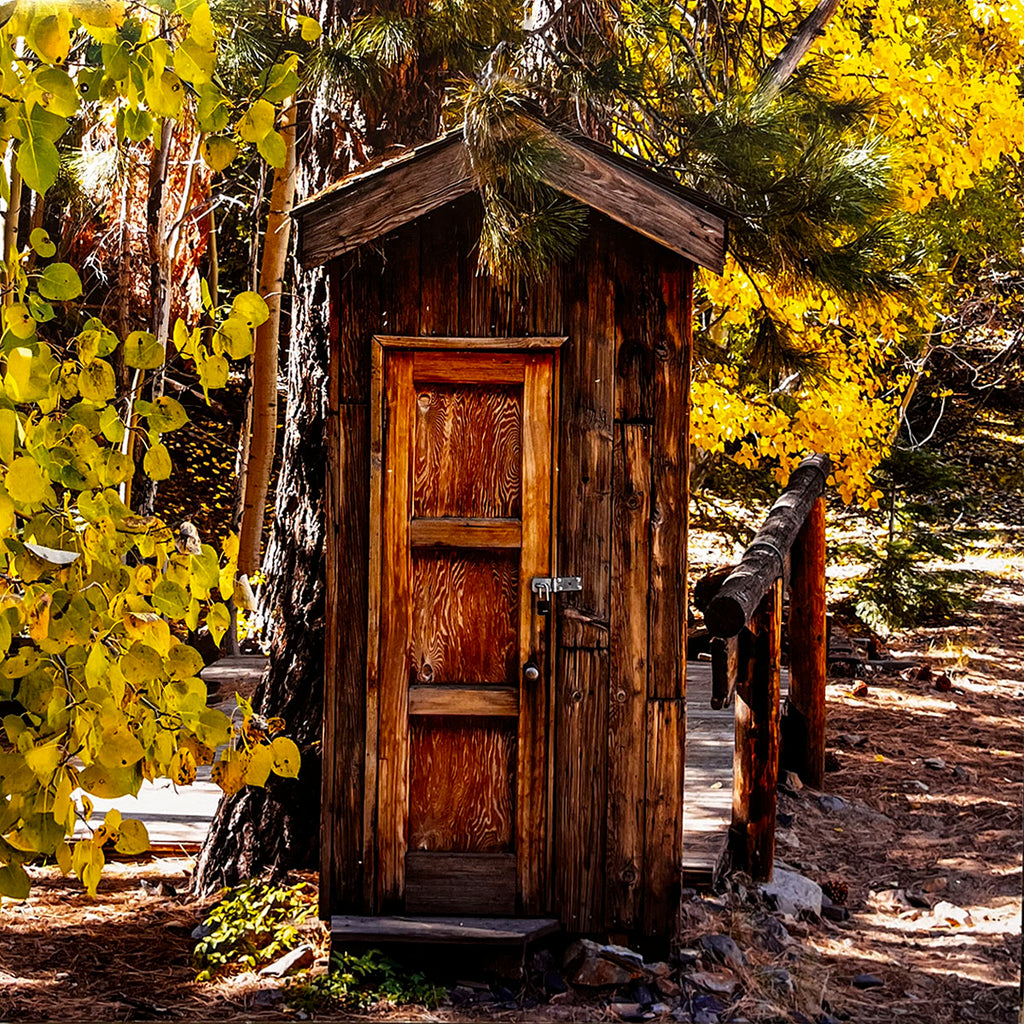 August 2027 calendar image: A well-maintained wooden outhouse with a sloped roof and a dark wooden door, surrounded by vibrant yellow autumn leaves and trees on a sunny day.