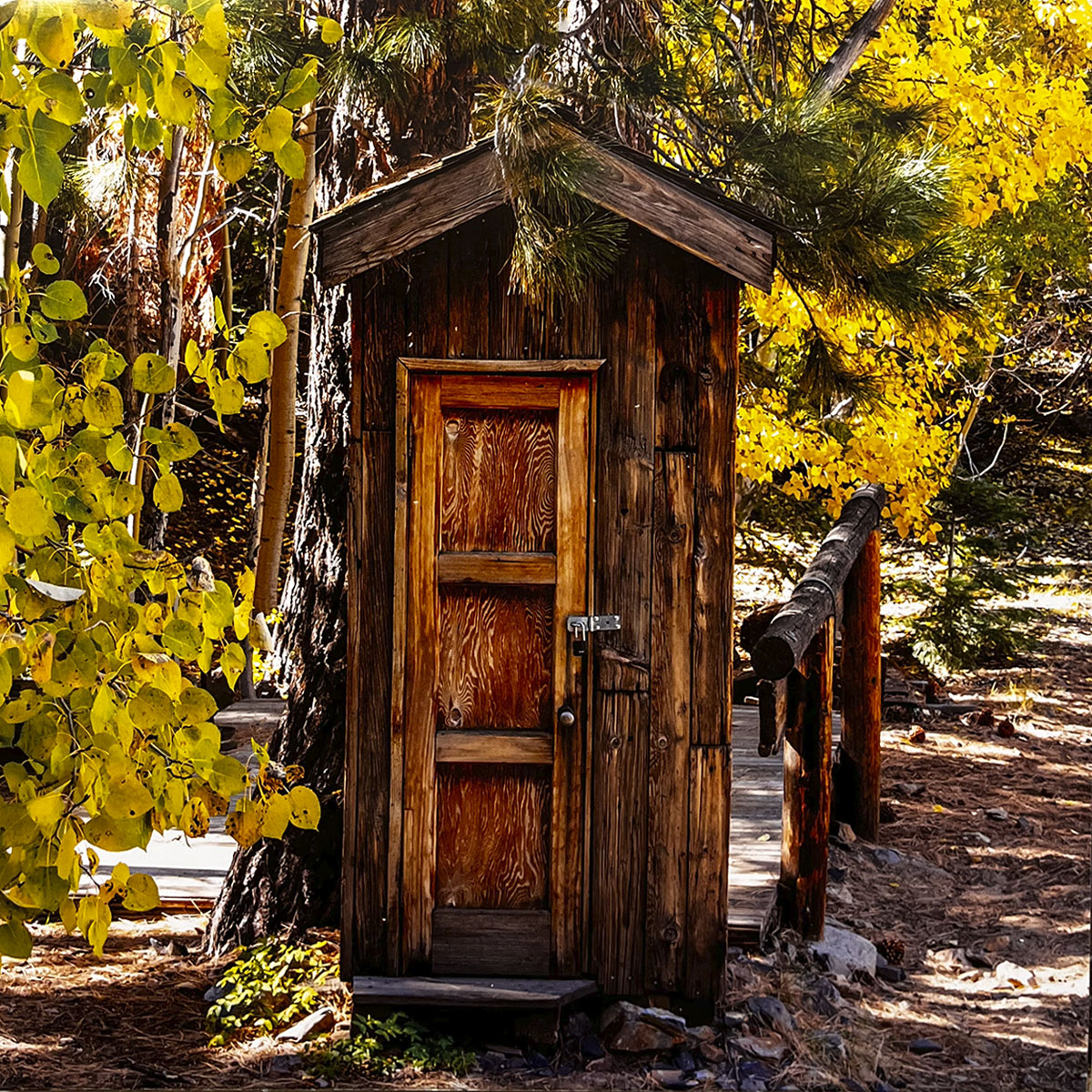 August 2027 calendar image: A well-maintained wooden outhouse with a sloped roof and a dark wooden door, surrounded by vibrant yellow autumn leaves and trees on a sunny day.