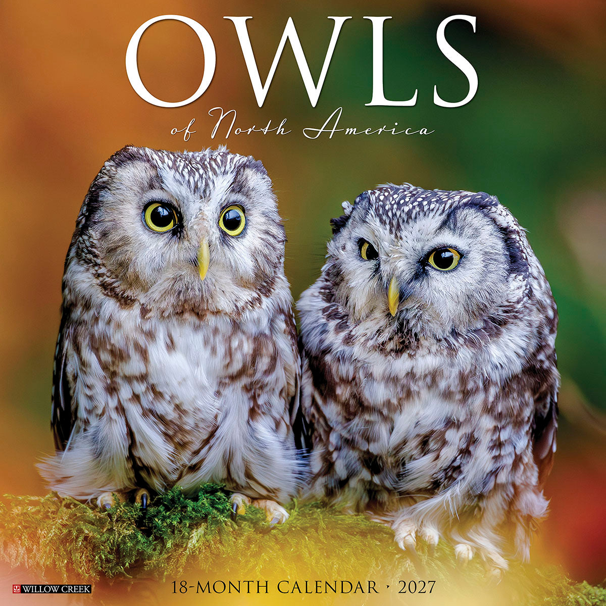 Two adorable, small Boreal Owls perched closely on a mossy branch, with bright yellow eyes and spotted brown and white feathers. The cover text reads 'OWLS of North America 18-MONTH CALENDAR 2027'.