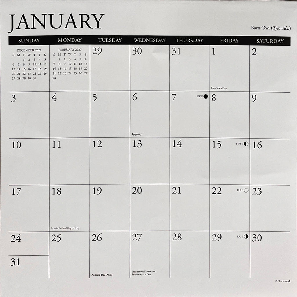 Detailed view of the January 2027 calendar grid, showing dates, major holidays like New Year's Day, Martin Luther King Jr. Day, and moon phases with clear, legible text.