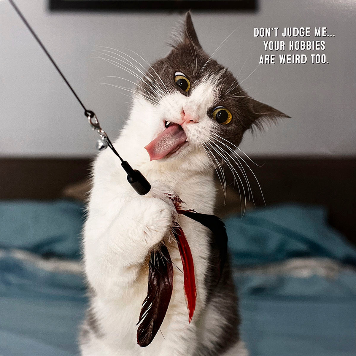 Funny cat calendar image featuring a grey and white cat with its tongue sticking out, playfully batting a feather toy. Caption reads 'Don't judge me... your hobbies are weird too.'