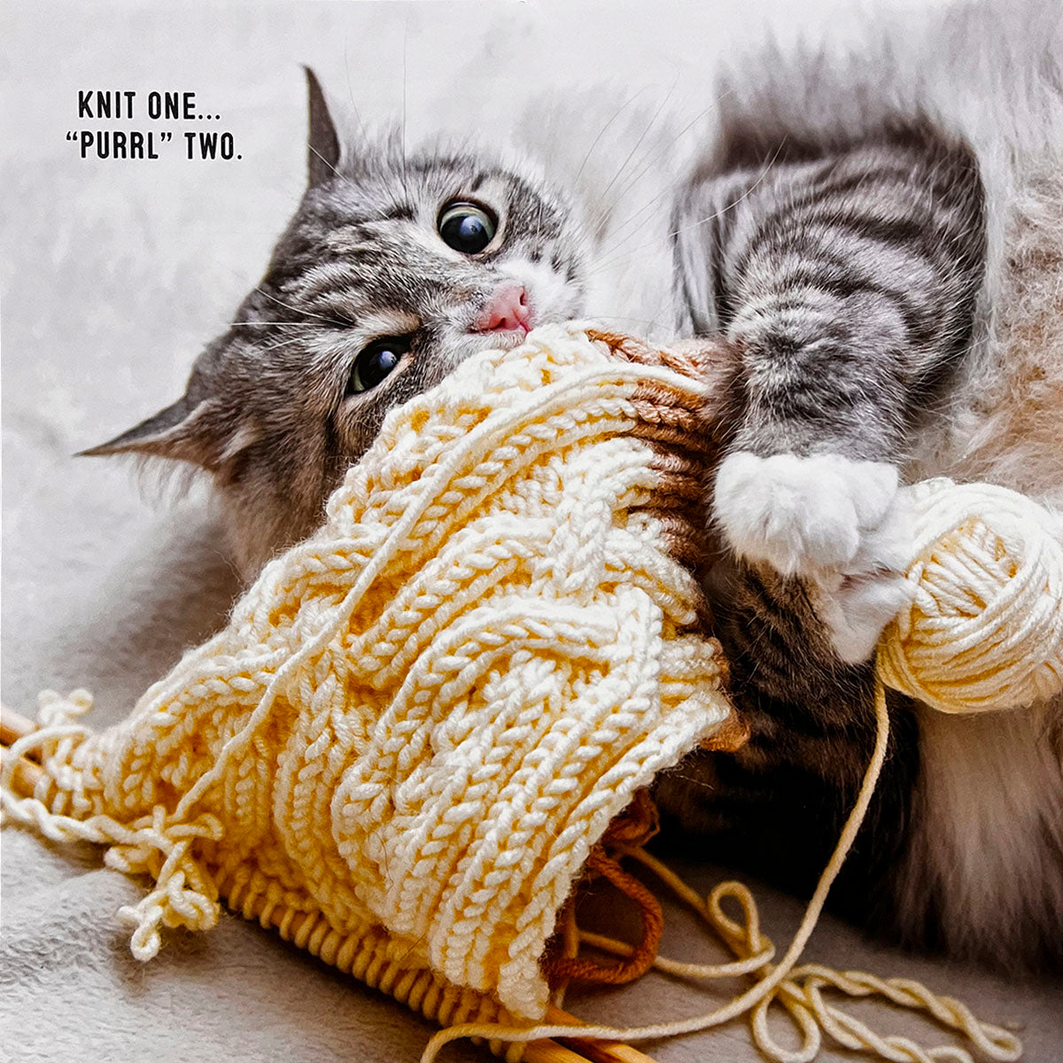 Playful cat calendar image featuring a fluffy grey cat entangled with and chewing on a ball of yellow knitted yarn. Caption uses a pun: 'Knit one... 'purrl' two.'
