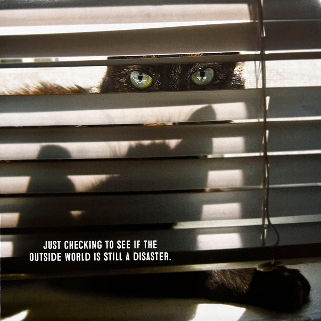 Relatable cat calendar image showing a black cat's bright green eyes peeking through venetian blinds. The humorous caption reads: 'Just checking to see if the outside world is still a disaster.'
