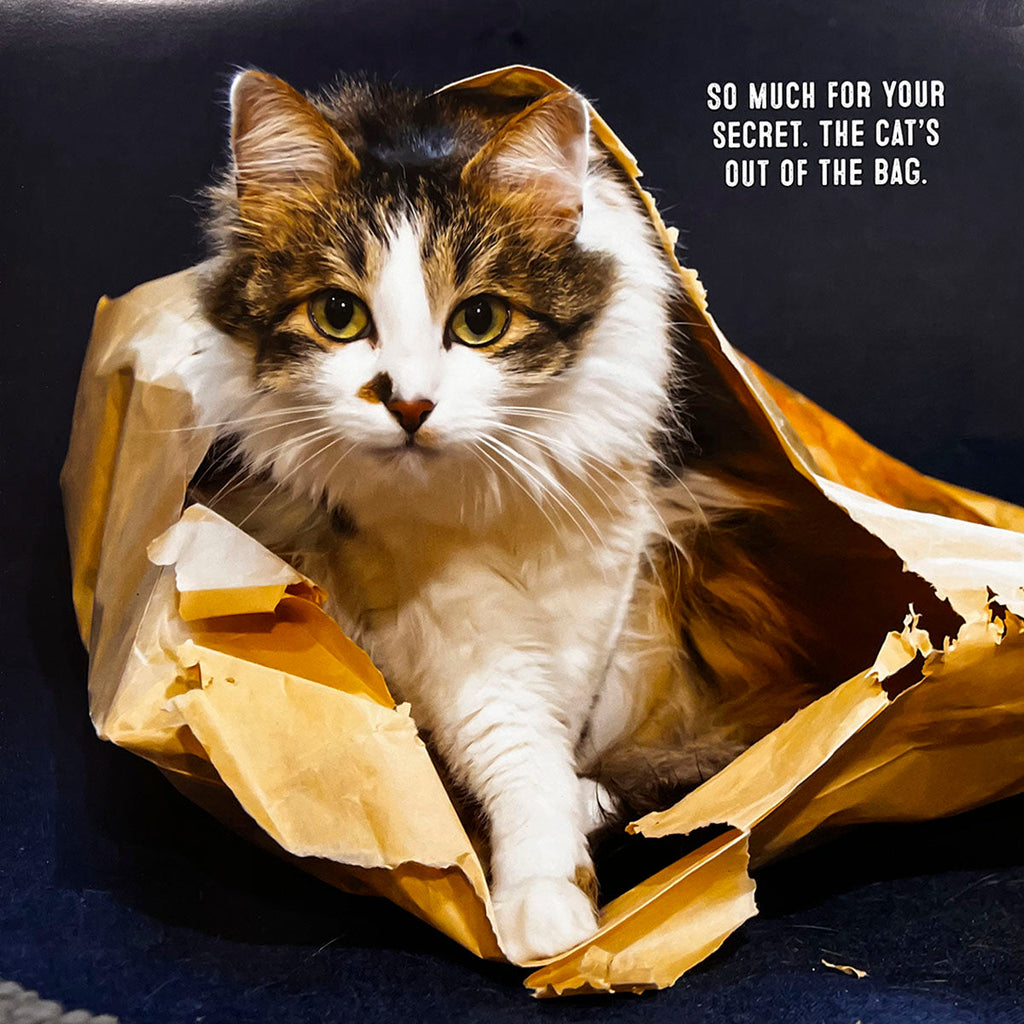 Clever cat calendar photo of a fluffy white, brown, and black cat emerging from a crinkled brown paper bag, with the punny caption 'So much for your secret. The cat's out of the bag.'
