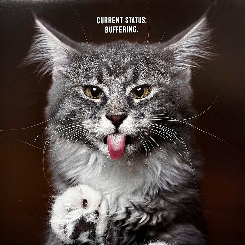Comical cat calendar image of a grey tabby cat with its tongue sticking out and one paw raised, looking dazed. Caption: 'Current status: buffering.'