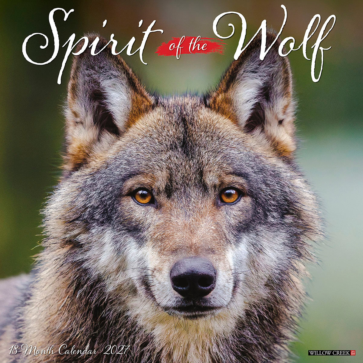 Spirit of the Wolf 2027 wall calendar cover featuring a captivating close-up of a majestic grey wolf with intense amber eyes, showcasing its beautiful fur against a soft green background.