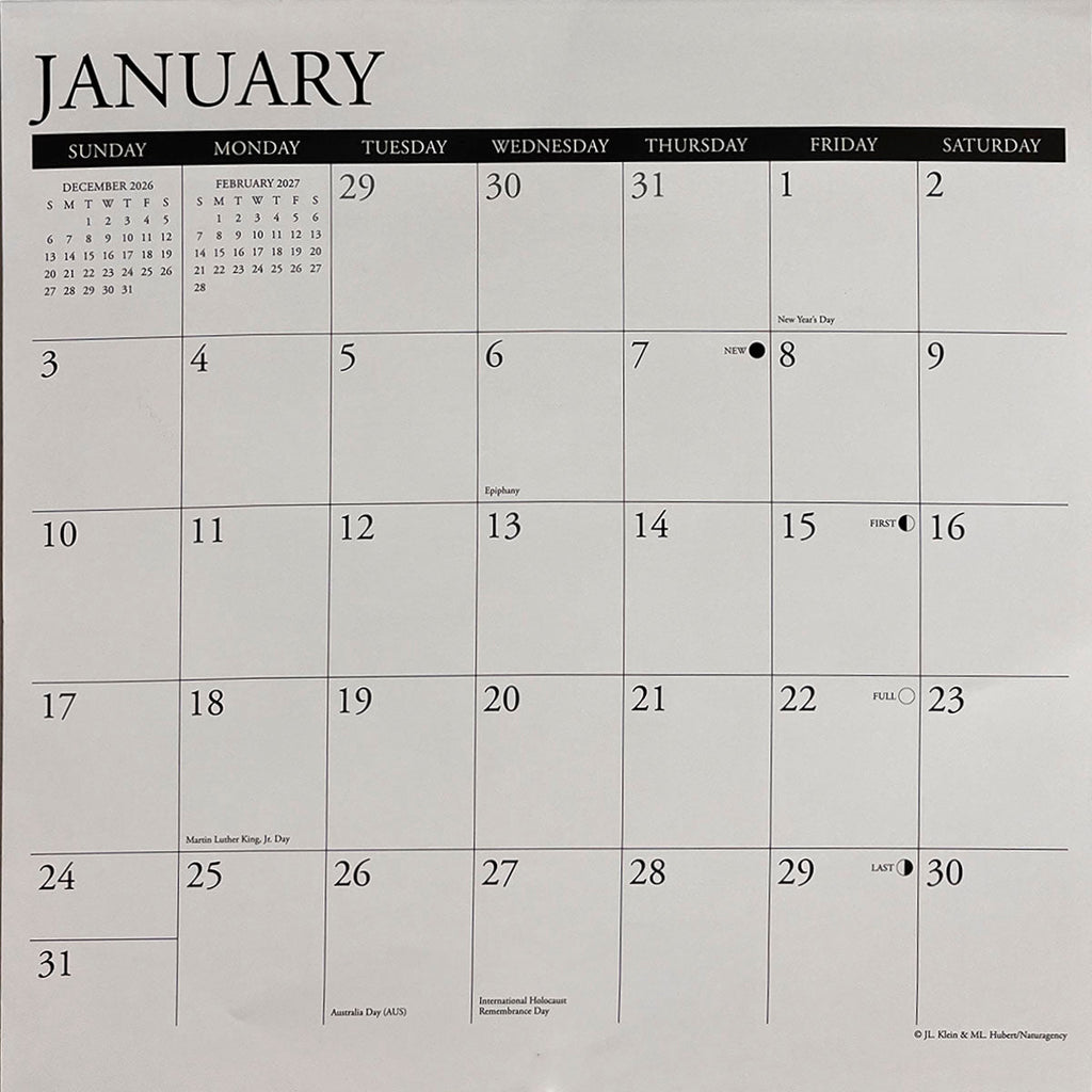 Clear and functional calendar grid for January 2027, displaying dates, days of the week, and key holidays, demonstrating the practical layout.
