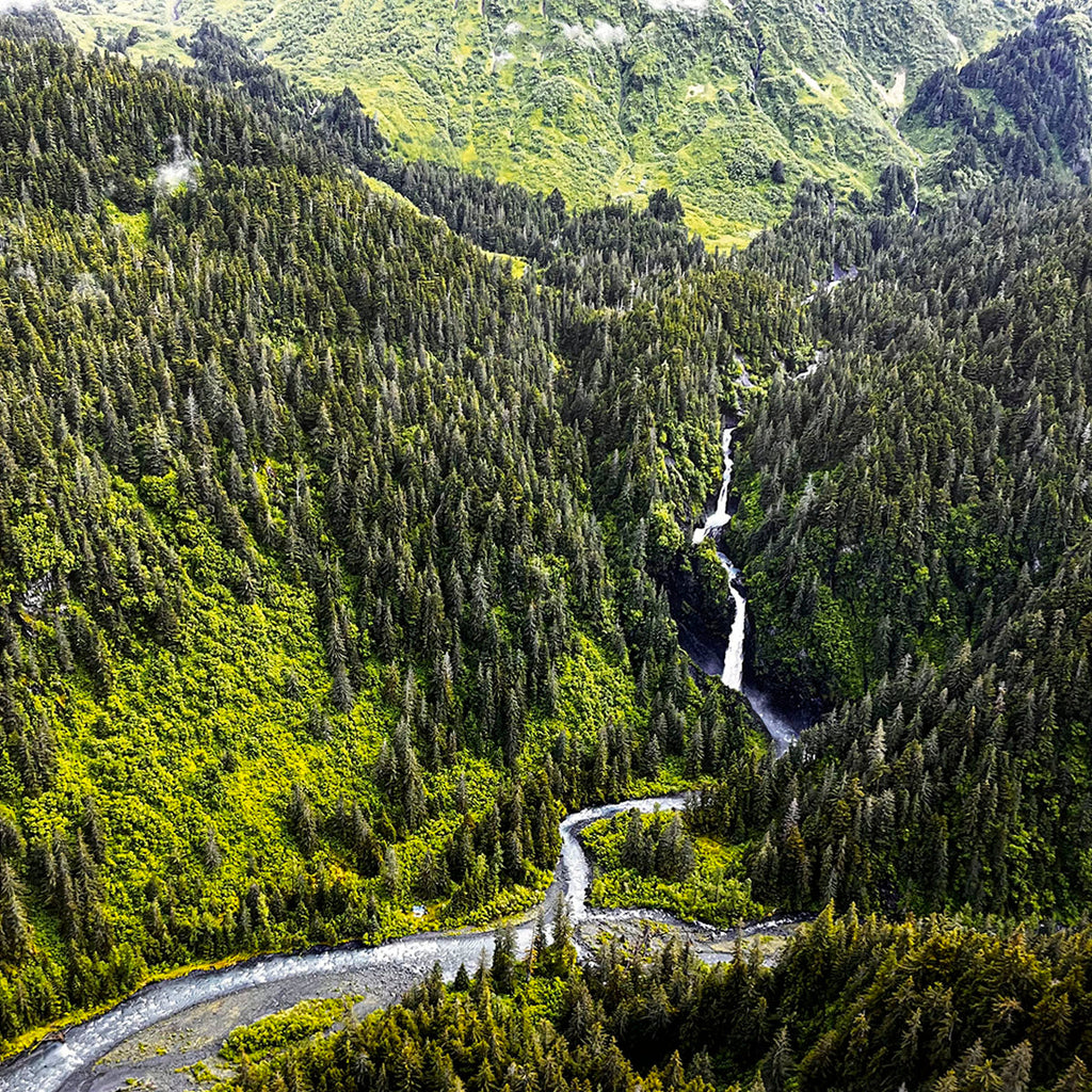 Aerial view of lush green mountains covered in dense evergreen forests, with a winding river and a waterfall flowing through a valley.