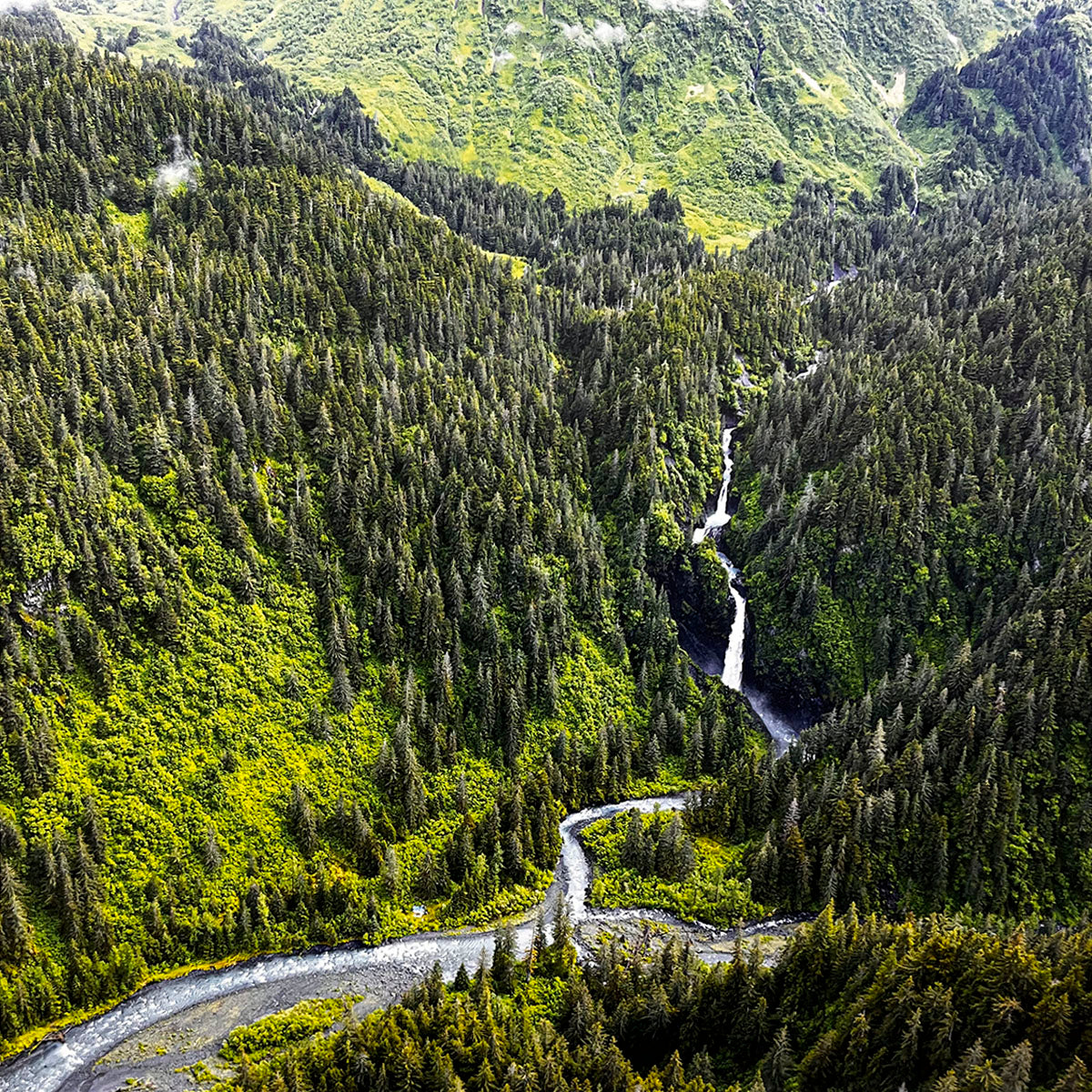 Aerial view of lush green mountains covered in dense evergreen forests, with a winding river and a waterfall flowing through a valley.