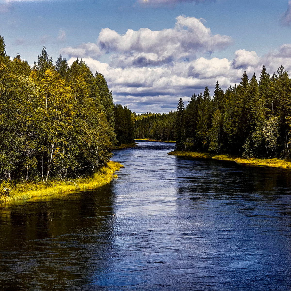 Wide winding river flowing through a lush forest with vibrant green and yellow trees lining its banks under a cloudy sky.