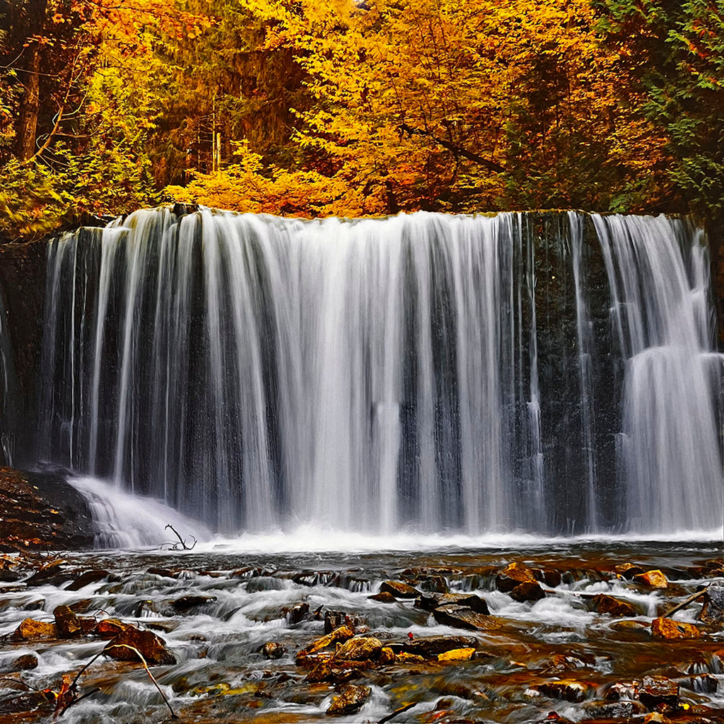 Spectacular waterfall surrounded by golden autumn foliage, cascading over rocks into a clear stream, showcasing seasonal beauty.