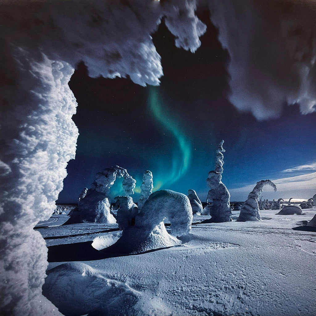 Ethereal Northern Lights (Aurora Borealis) illuminating a snow-covered landscape with uniquely shaped snow-draped trees under a starry night sky.