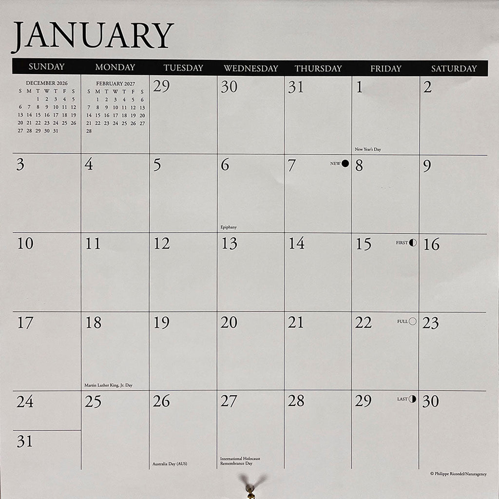 Close-up of the January 2027 calendar grid, showing dates, holidays, and moon phases for planning.