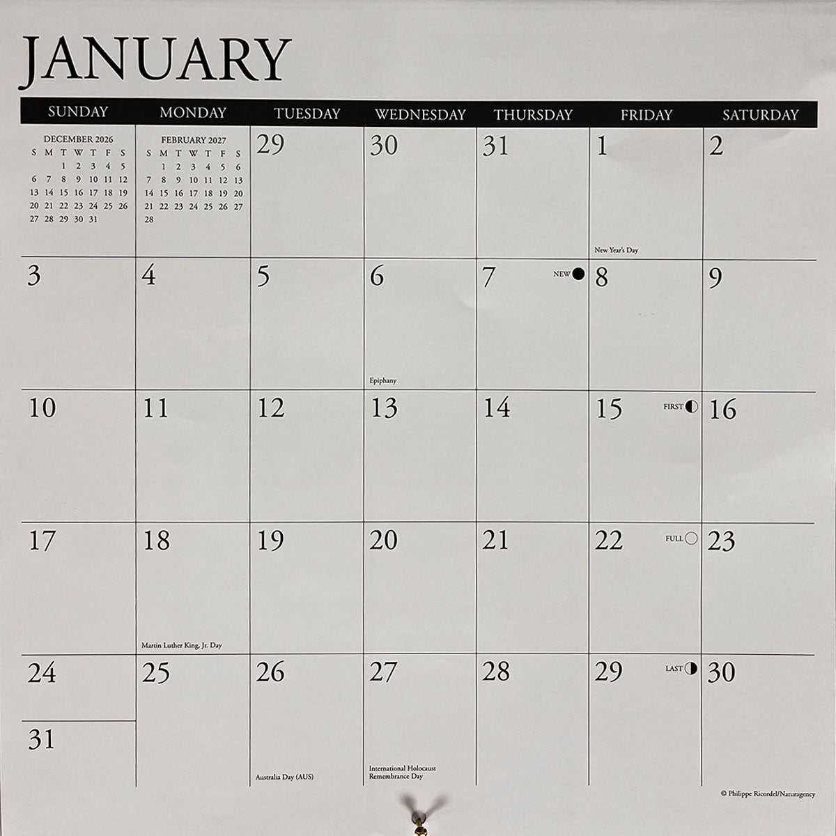 Close-up of the January 2027 calendar grid, showing dates, holidays, and moon phases for planning.