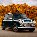 A pristine dark green 1971 Mini Cooper with white racing stripes, parked on a road against a backdrop of golden rocky hills, highlighting its classic design and adventurous spirit.