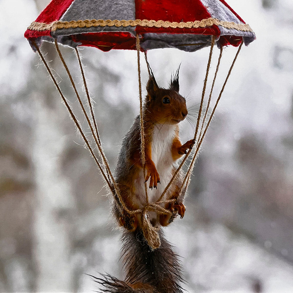 A red squirrel playfully parachuting with a mini red and grey umbrella, a whimsical scene for a wall calendar.