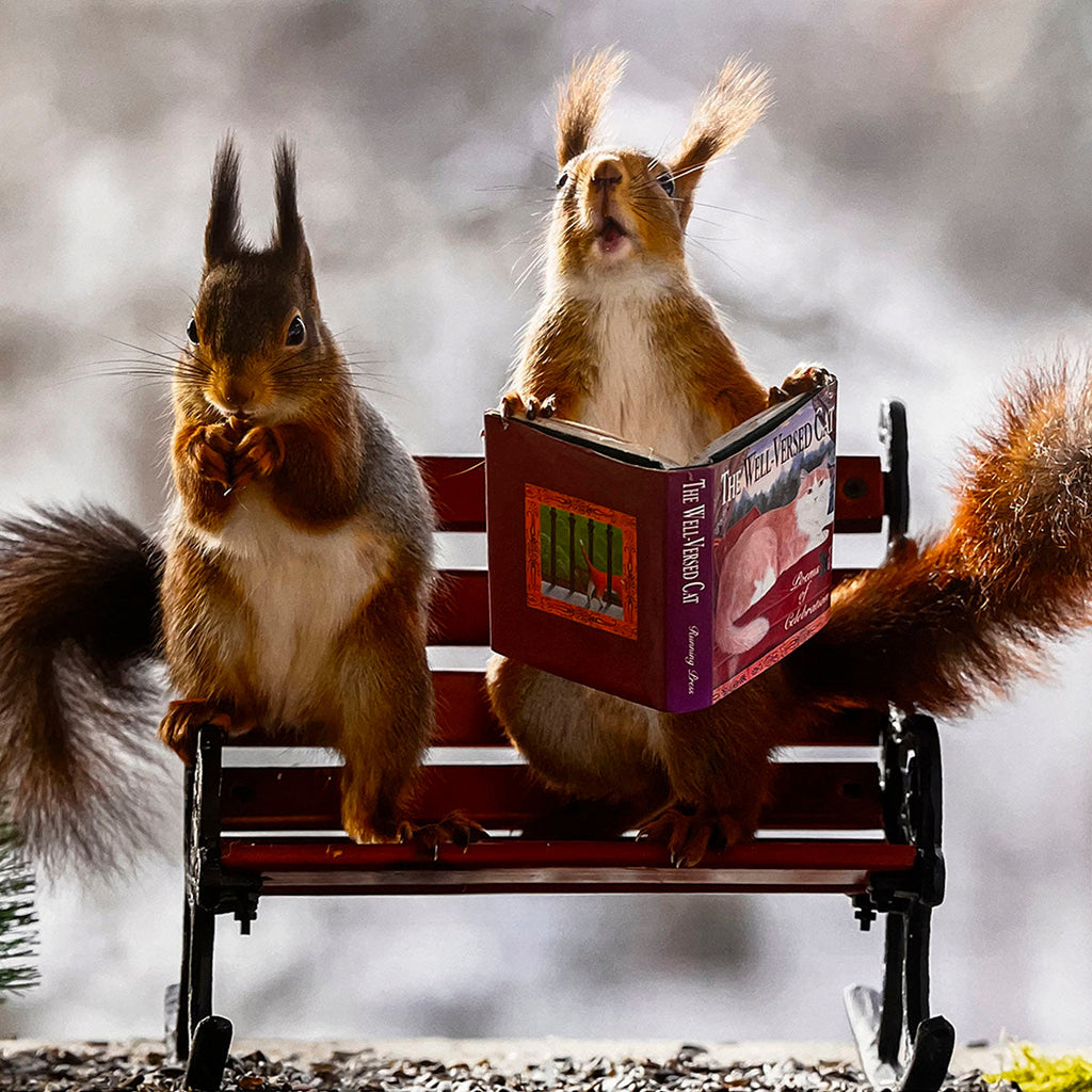 Two intelligent squirrels sitting on a tiny bench, one intently reading a miniature book titled 'The Well-Versed Cat,' adding a touch of humor and charm to a unique animal calendar.