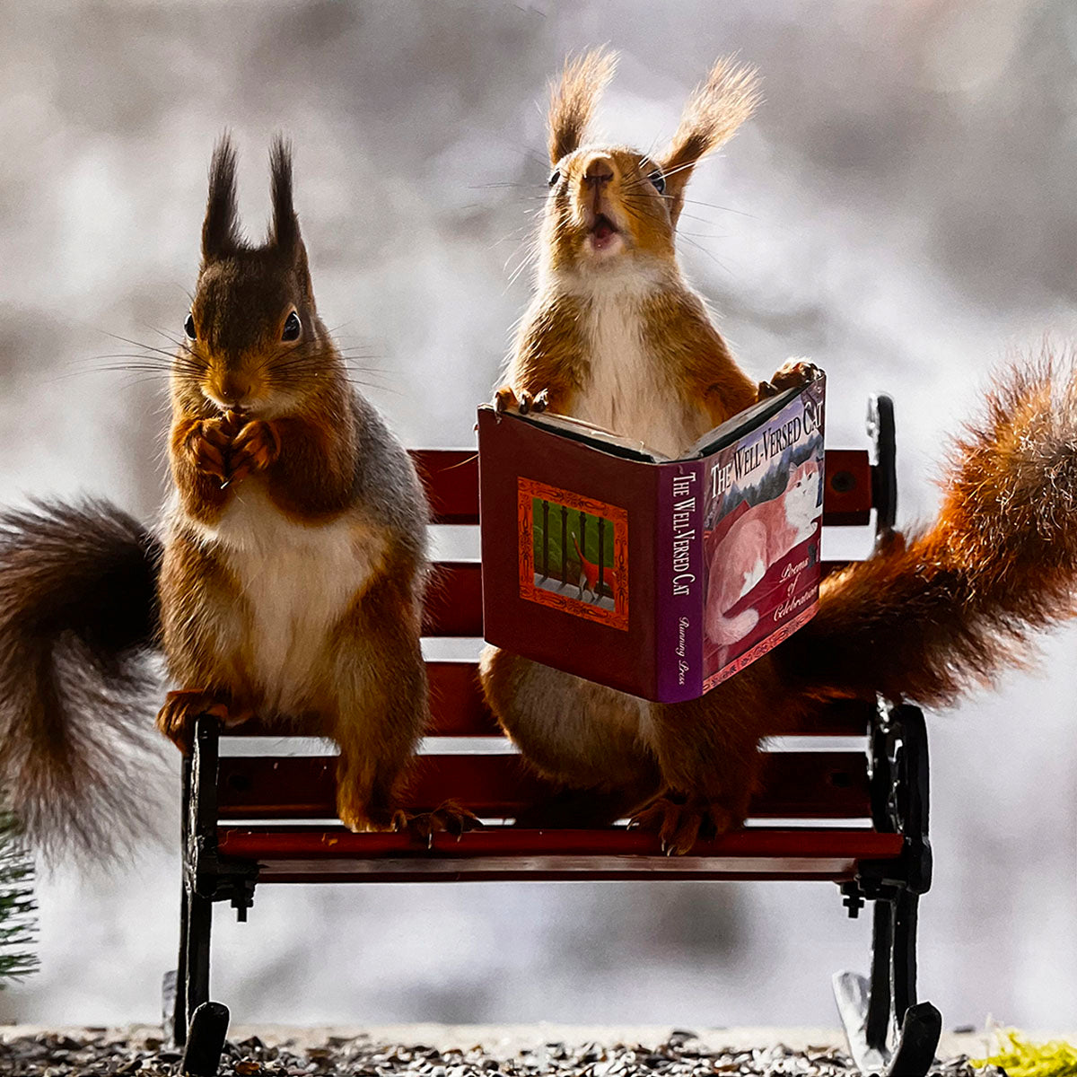 Two intelligent squirrels sitting on a tiny bench, one intently reading a miniature book titled 'The Well-Versed Cat,' adding a touch of humor and charm to a unique animal calendar.