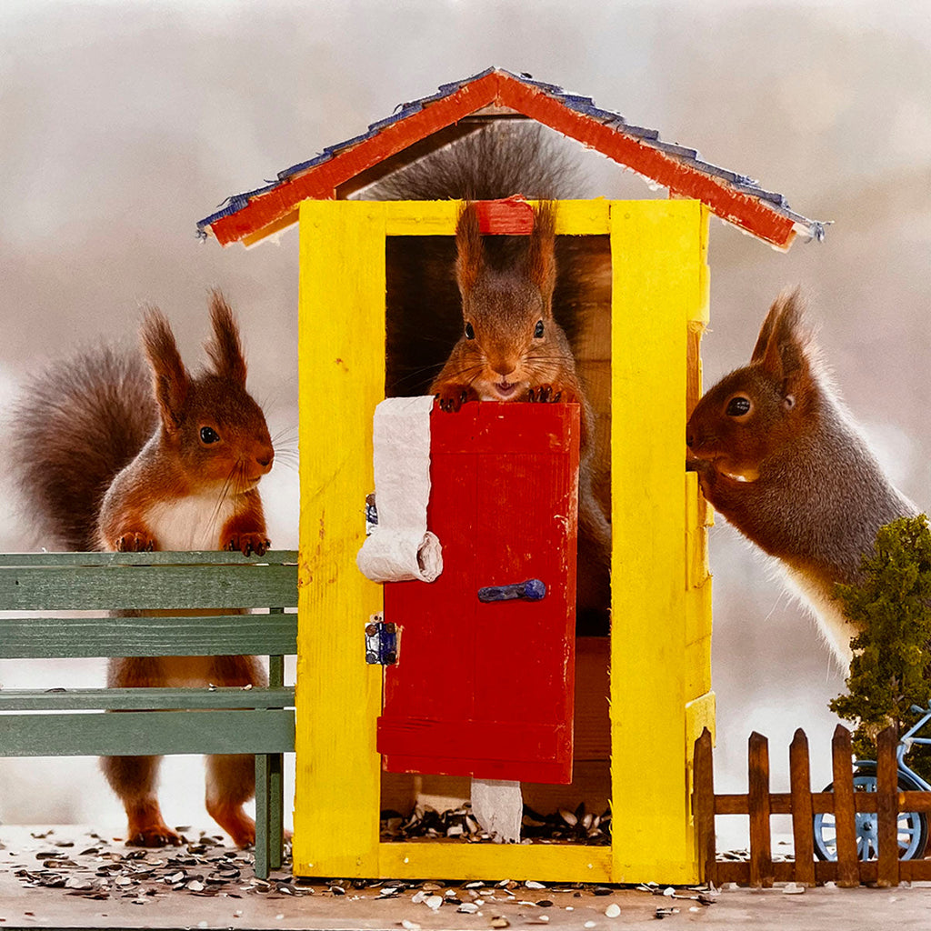 Three comical squirrels interacting around a miniature yellow and red outhouse, with one squirrel peeking out, a truly funny and lighthearted scene for a wall calendar.