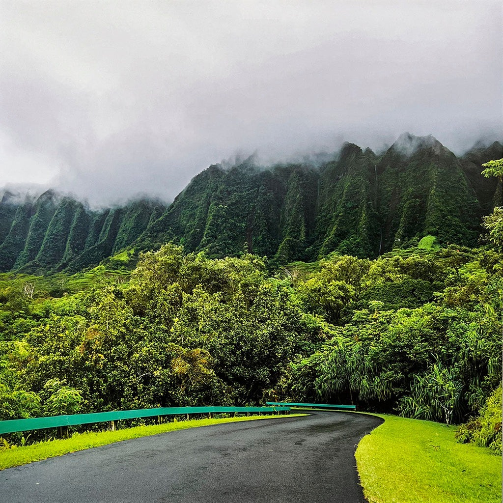 Curving road surrounded by dense, lush green tropical mountains shrouded in mist and low clouds, showcasing a vibrant, verdant landscape.